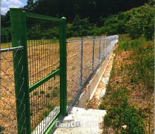 사진제공 김천시