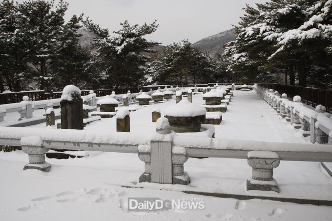 세종대왕자태실