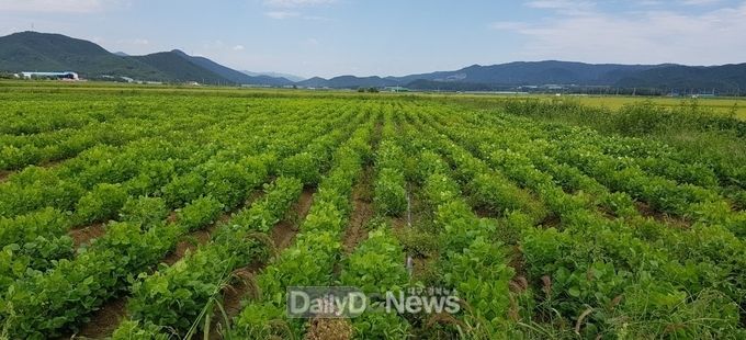 사진제공 경상북도