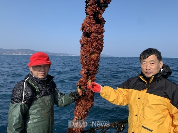 사진제공 경상북도