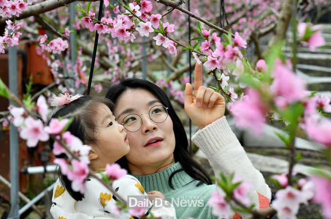 사진제공 경산시