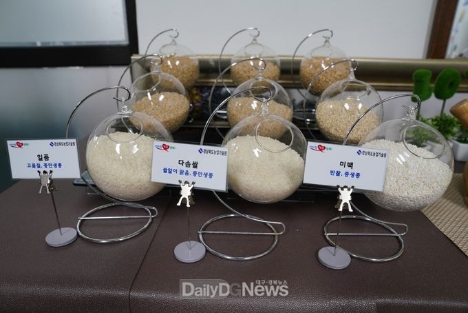 사진제공 경상북도
