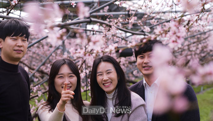 사진제공 청도군