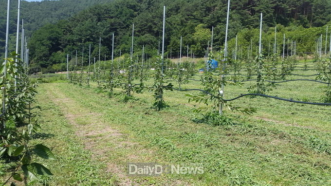 FTA 과수 품질제고 지원 사업 추진