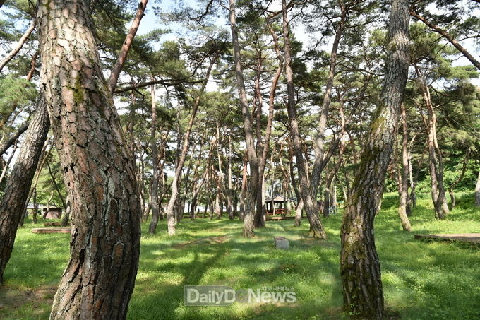 풍요롭고 다채로운 명품산림으로 관광사업 활성화