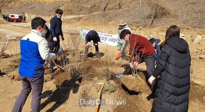 국립산림치유원에서 철쭉을 식재하고 있은 모습