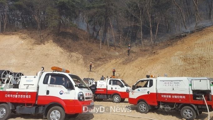 사진제공 남부지방산림청