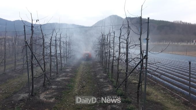 영양군, 과수화상병 방제