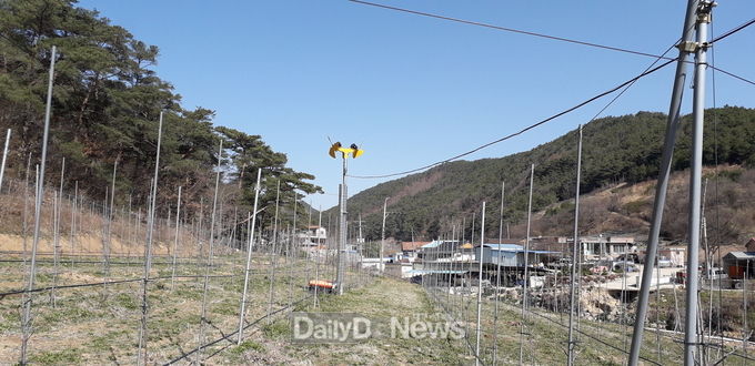 냉해 방지에 효과를 내고 있는 방상팬