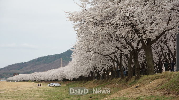 사진제공 상주시