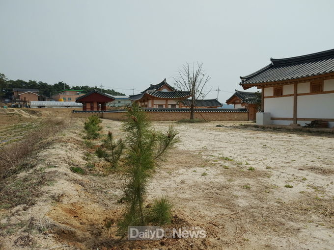 영주시, 이산서원에 학자수 후계목 식재 1(학자수 후계목 식재 후 모습)