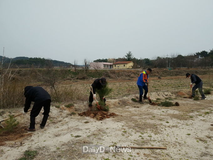 영주시, 이산서원에 학자수 후계목 식재