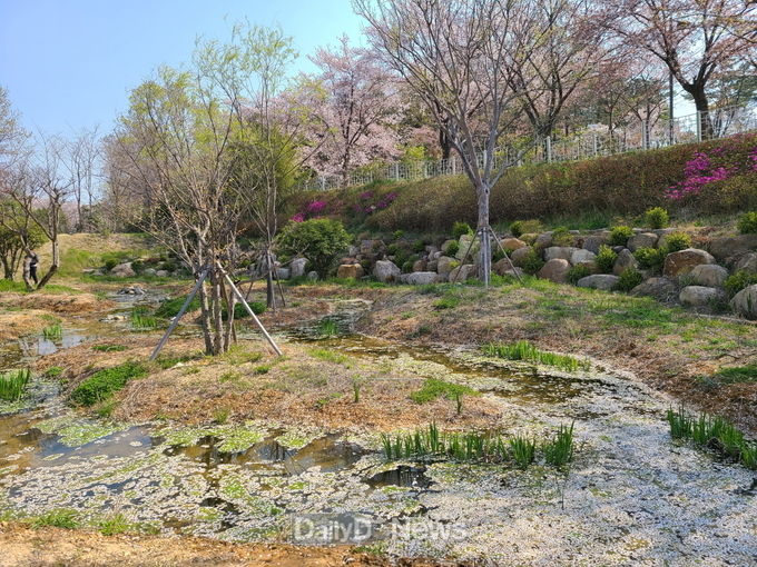 도롱뇽아~ 경주동궁원이 지켜줄게!(서식지 전경).