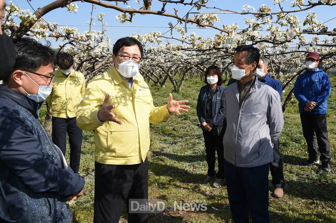  지난8일 주낙영 경주시장이 현곡면 일원 배꽃 저온피해입은 농가 현장을 방문해 피해 상황을 확인하고 있다