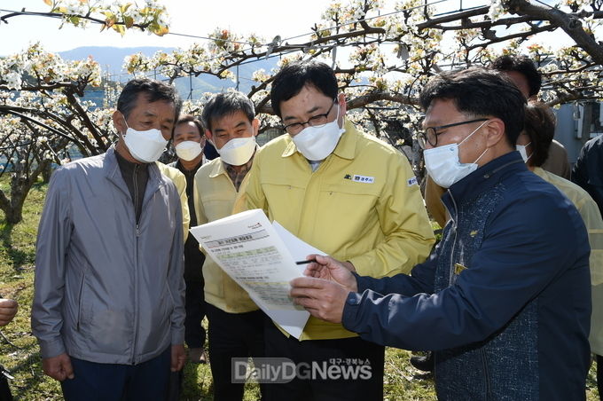 지난8일 주낙영 경주시장이 현곡면 일원 배꽃 저온피해입은 농가 현장을 방문해 피해 상황을 확인하고 있다