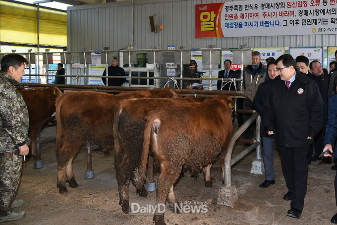 신년 가축시장 찾아 현장밀착행정을 하고 있는 주낙영 경주시장