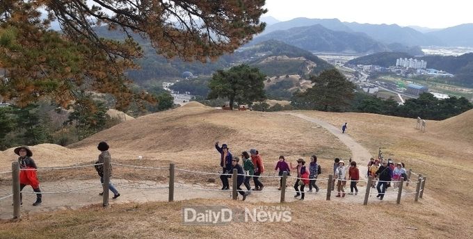 사진제공 고령군