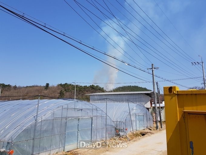 사진제공 남부지방산림청