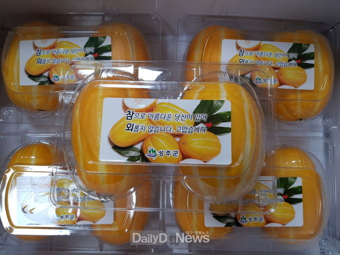 사진제공 성주군