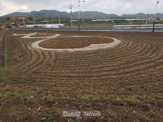 사진제공 고령군