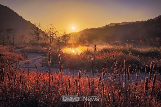 사진제공 국립백두대간수목원) 영국왕립원예협회 정원사진 공모전 수상작 ‘몽환의 아침(Dreamy Morning)’