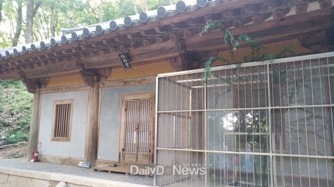사진제공 경상북도 영주 부석사 선비화(골담초)