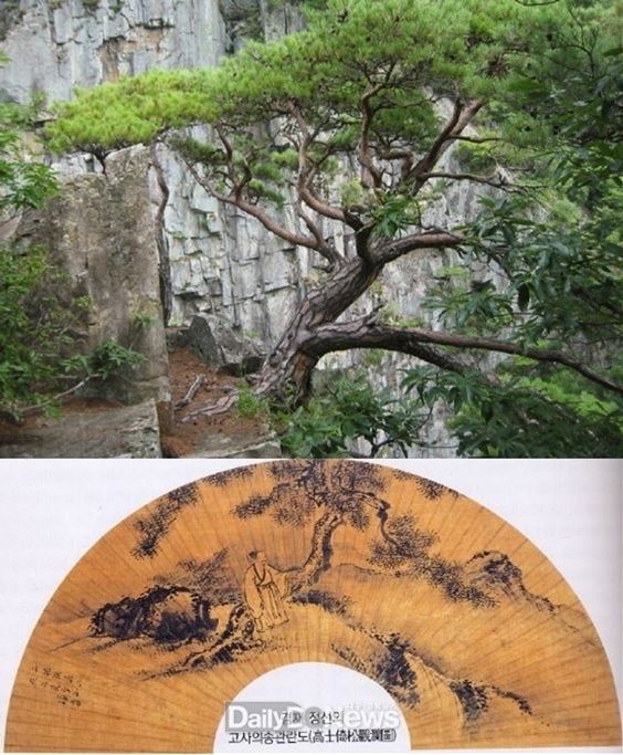 포항 내연산 비하대 겸재송(정선의 고사의송관란도 부채그림)