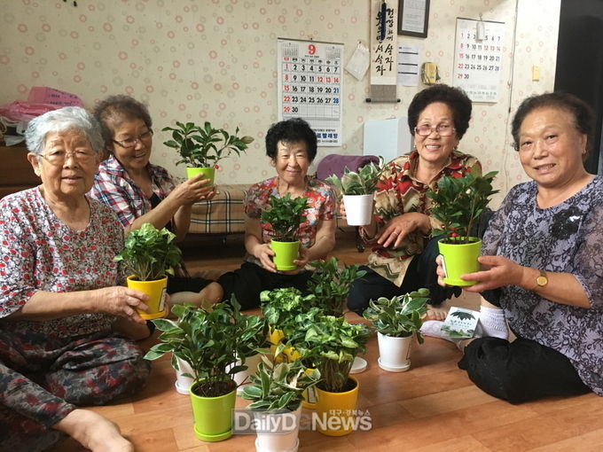 포항시, ‘더+ 포항 그린웨이, 도시생기 프로젝트’ 가동