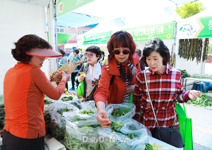 2019 산나물축제