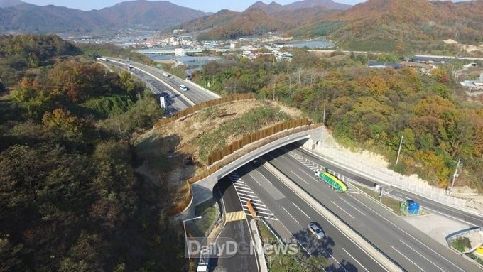 사진제공 한국도로공사 야생동물의 이동을 돕는 구조물인 생태 통로가 설치된 모습(추풍령 생태통로)