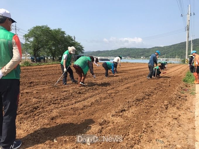 사진제공 고령군