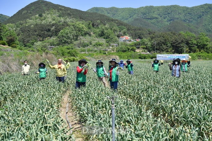 사진제공 청도군