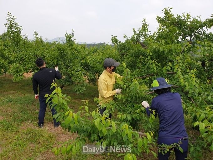 사진제공 김천시