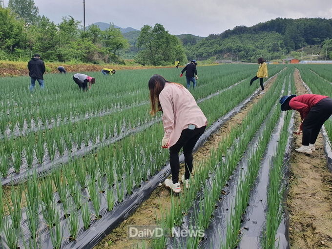 사진제공 김천시