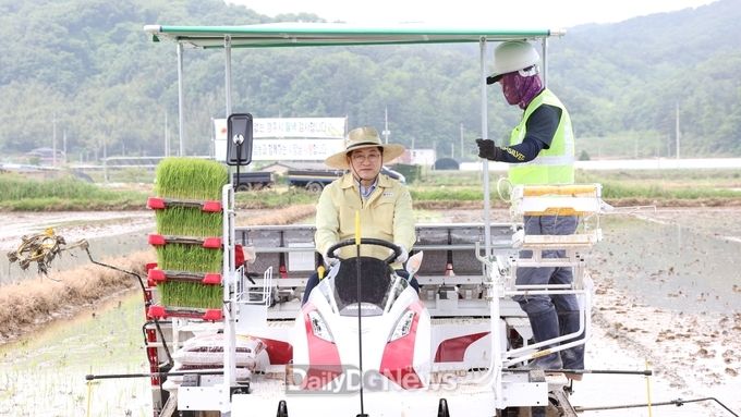  21일 주낙경 경주시장이 강동 국당들에서 모내기 시연하고 있다