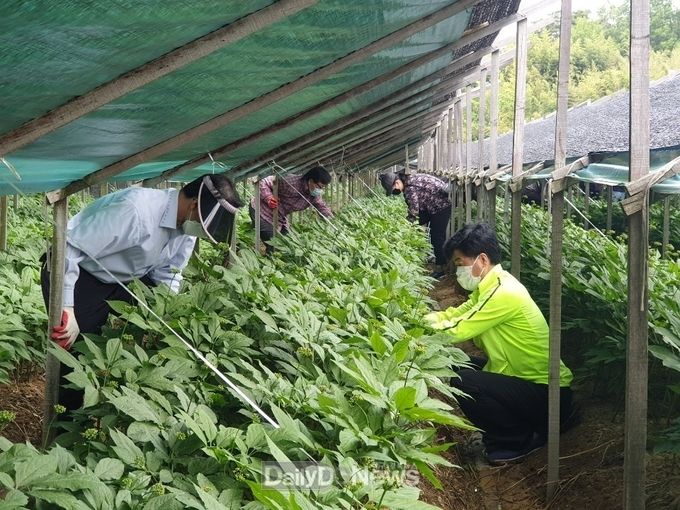 사진제공 구미시