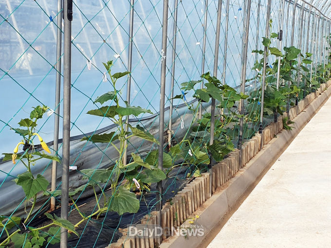 사진제공 안동시
