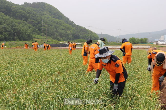 사진제공 경상북도 소방본부