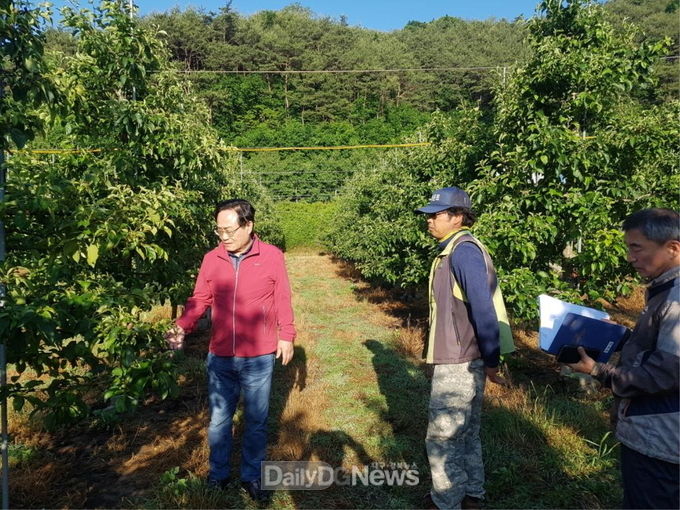 봉화 우박피해현장, 엄태항 봉화군수