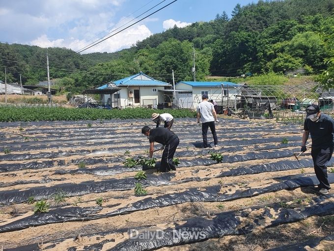 사진제공 경북바이오산업연구원
