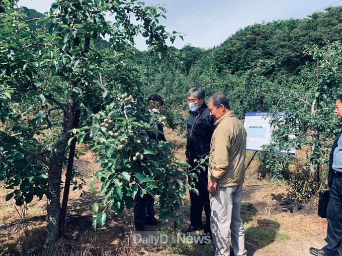 조재호 농림축산식품부 차관보 영주시 우박피해 현장 확인에 나서 1(우박피해 현장점검하고 있는 조재호 차관보 모습).