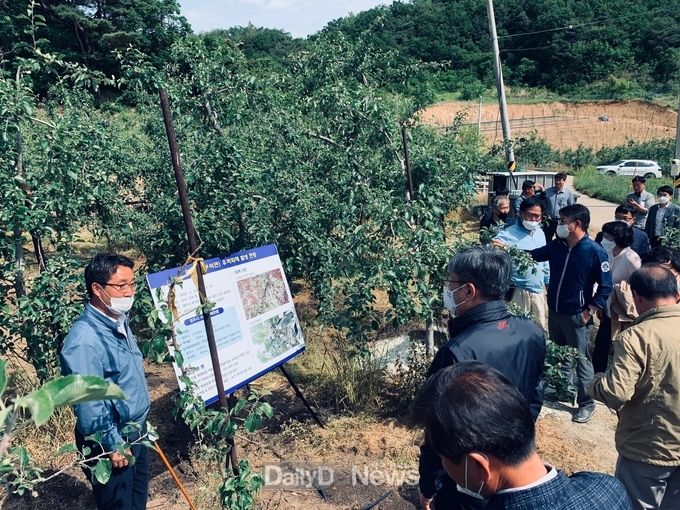 조재호 농림축산식품부 차관보 영주시 우박피해 현장 확인에 나서 1(우박피해 현장점검하고 있는 조재호 차관보 모습).