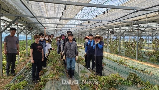 정책기획담당관 농촌봉사활동