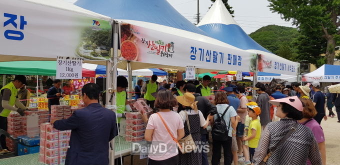 제철 ‘장기산딸기’ 드라이브 스루로 사세요