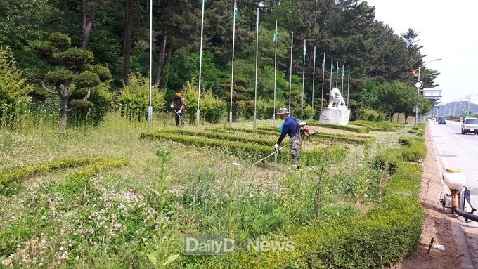 도로변 풀베기 사업으로 환경 정비
