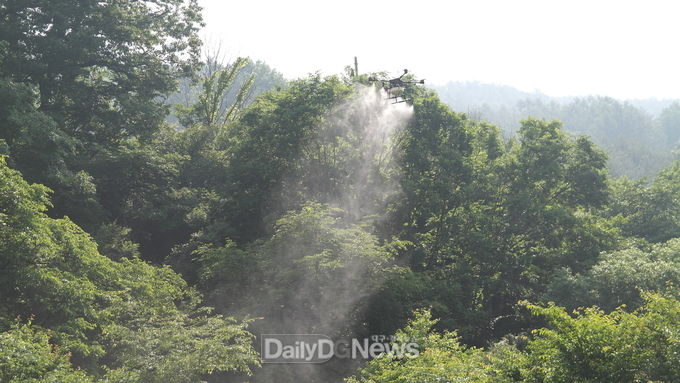 사진제공 남부지방산림청