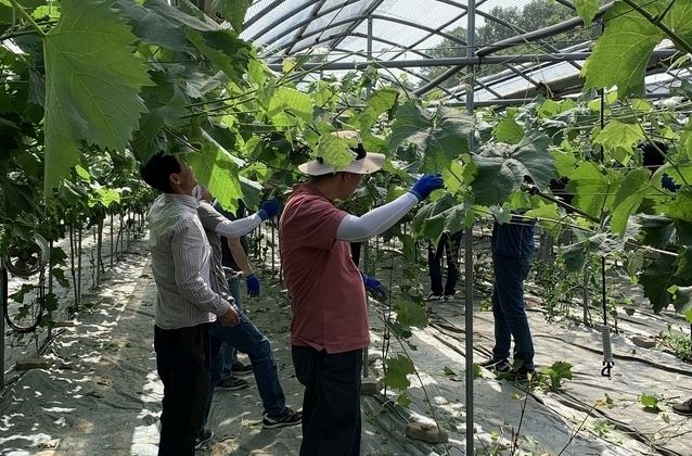 사진제공 김천시