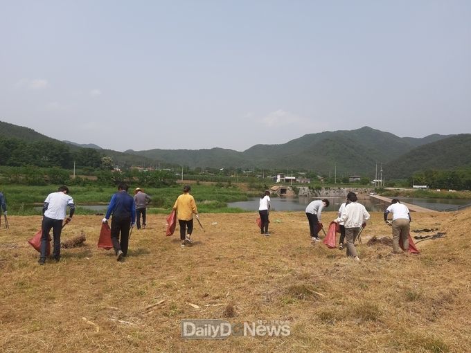 영양군, 제25회 환경의 날 기념 하천정화활동 실시