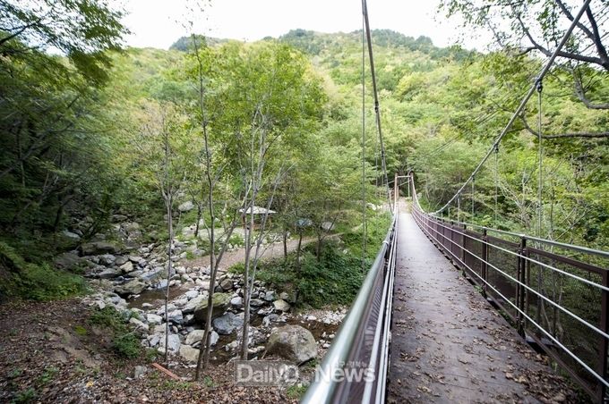 사진제공 울릉군) 힐링로드