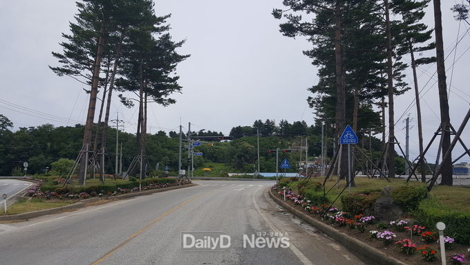 울진군, 아름다운 여름 꽃 길 조성 눈길